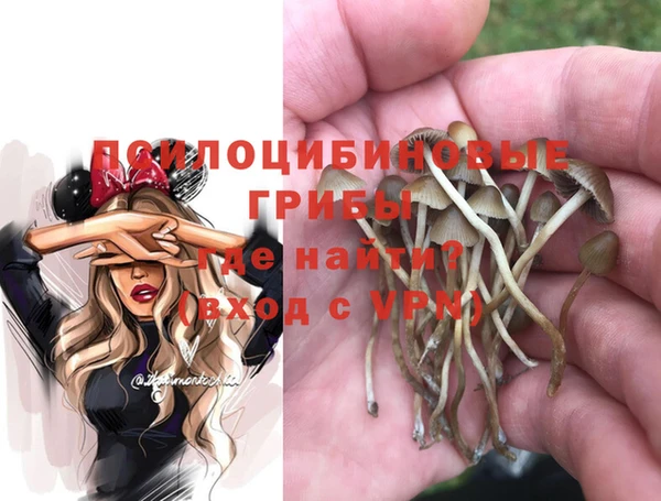 не бодяженный Лагань
