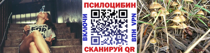 магазин продажи наркотиков Армавир Галлюциногенные грибы Magic Shrooms