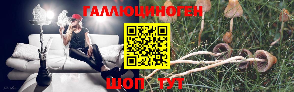 Галлюциногенные грибы Psilocybine cubensis Армавир