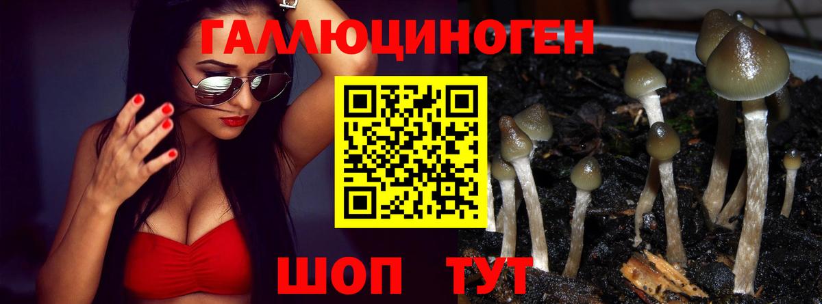 Псилоцибиновые грибы мицелий  Армавир 