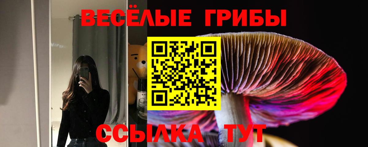Галлюциногенные грибы Psilocybe  Псилоцибиновые грибы Psilocybine cubensis  Вход с VPN  Армавир 